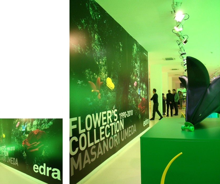 grafica/edra showroom.jpg